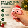 Calendrier de l'Avent Squishy de Noël